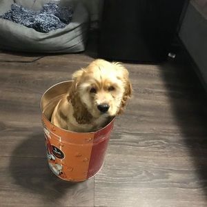 Meet your Posher, Aaron